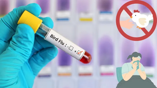 h5n1-bird-flu-outbreak-in-uttarakhand-symptoms-and-precautions-that-people-must-know-to-stay-safe