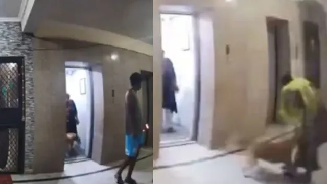 ghaziabad-woman-bitten-by-pet-dog-inside-society-amid-stray-dog-row-video