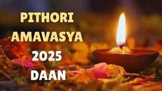 Pithori Amavasya 2025: Donate THESE 5 Things To Please Ancestors