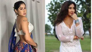 Sofia Ansari Viral Video: Instagram Influencer's Sizzling Marathi Avatar In ‘Shaky Shaky’ Song Takes The Internet By Storm. Seen Yet?