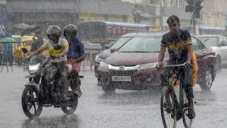 Chennai Weather: Heavy Rain, Thunder Hit City, IMD Issues Orange Alert For Multiple Tamil Nadu Districts | Forecast