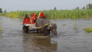 Hapur Flood : Ganga River Above Red Alert For Third Straight Week