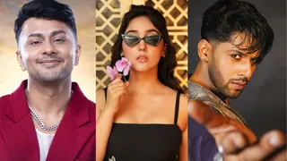 Bigg Boss 19 Contestants' Instagram Followers: Who Is The Most Popular On Social Media?