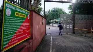 Bird Flu In Delhi: Zoo Closed For Visitors After H5N1 Avian Influenza Virus Detected; Details