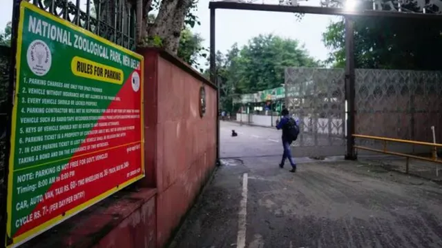 bird-flu-in-delhi-zoo-closed-for-visitors-after-h5n1-avian-influenza-virus-detected-details