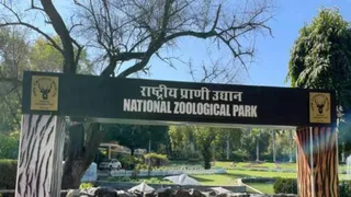 Bird Flu Outbreak At Delhi Zoo; 12 Birds Dead, Facility Shut For Visitors