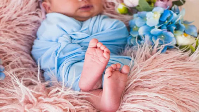 indore-two-newborns-bitten-by-rats-at-nicu-of-top-mp-hospital-check-medical-superintendent-statement