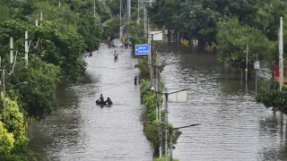 Monsoon Havoc In North India: Flood Ravages Punjab, Rajasthan; Alert In Delhi-NCR And Rain Forecast In Jammu | Check State-Wise Forecast