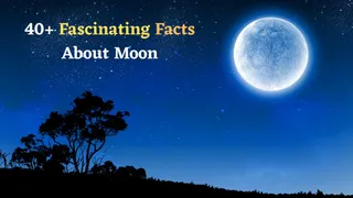 40+ Interesting Facts About Earth's Satellite Moon: History, Origin, Mysterious Facts And More