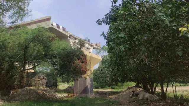 barapullah-flyover-phase-3-update-elevated-corridor-gets-tree-cutting-clearance-to-begin-ops-within-a-year