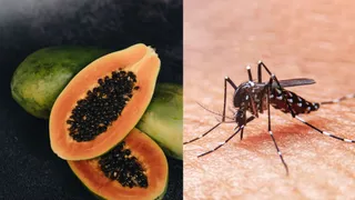 What To Eat During Dengue: Doctor Shares Diet Tips For Platelet Boost And Quick Recovery