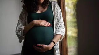 Noida Dengue Cases Cross 260; Doctors Issue High-Risk Alert For Pregnant Women