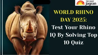 World Rhino Day 2025: Explore Rhino Facts, Awareness, And Test Your Rhino IQ With Top 10 Quiz