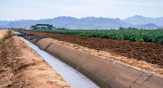 Bihar News: Western Kosi Canal Project Approved In Madhubani; Irrigation To Cover 2.91 Lakh Hectares
