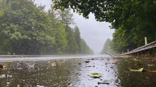 Odisha Weather: IMD Issues Red Alert For Puri, Ganjam, Gajapati, Rayagada, And Other Districts Amid Heavy Rain | Check Forecast