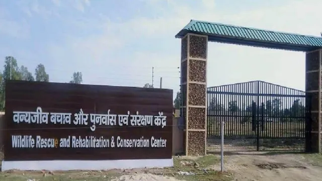 noida-international-airport-wildlife-rescue-centre-set-for-february-2026-opening