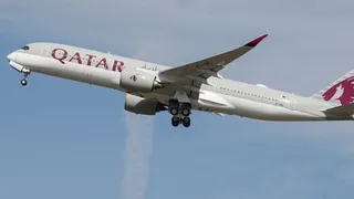 Vegetarian Passenger Dies Mid-Flight After Qatar Airways Serves Meat Instead Of Pre-Ordered Vegetarian Meal