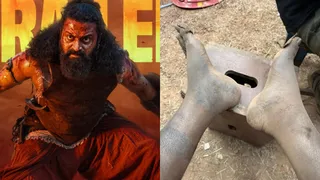 Rishab Shetty Shot Kantara Chapter 1 Climax With Swollen Legs; Shares Inspiration Behind Filming Epic Scene: 'This Was Only Possible...'
