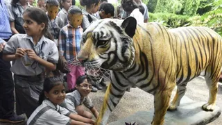 Delhi Zoo Adopts Vantara Model For Major Overhaul, Staff Training Underway