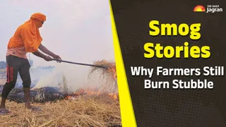 Smog Stories: Why Farmers Burn Stubble Despite Strong Laws? What Are Their Demands?