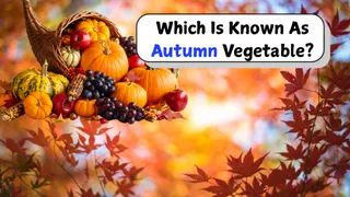 Which Vegetable Becomes A Global Favourite During Autumn? Find Out The Seasonal Star