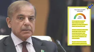 Pakistan PM Shehbaz Sharif Wishes Hindus 'Happy Diwali', Netizens Flag '100% AI Written'
