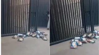 Viral Video: Employees Furious Over Soan Papdi Diwali Gift, Throw Sweet Boxes At Company Gate