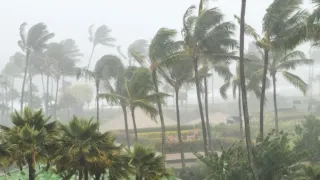 Cyclone Montha Makes Landfall Near Kakinada: 76,000 Evacuated, Schools Closed In Andhra And Odisha, Flights And Trains Cancelled | Updates