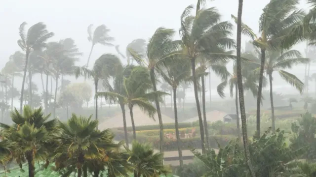 cyclone-montha-landfall-near-kakinada-andhra-odisha-schools-closed-76000-evacuated-flights-and-trains-cancelled-amid-red-alert-updates