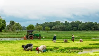 PM Kisan Yojana: Only THESE Farmers To Get Next Installment, Confirms UP Chief Secretary