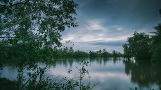 Bengaluru: Brothers Aged 8 And 6 Found Dead In Lake After Missing Tuition, Police Suspect Accidental Drowning
