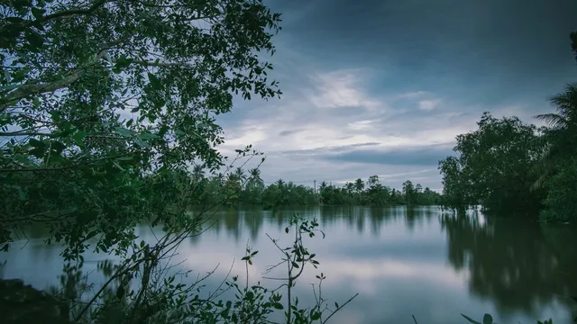 bengaluru-brothers-aged-8-and-6-found-dead-in-lake-after-missing-tuition-police-suspect-accidental-drowning