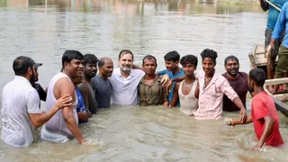 Bihar Elections: Rahul Gandhi Dives Into Pond To Participate In Traditional Fishing Activity In Begusarai During Poll Campaign | Video