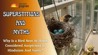 why-is-a-bird-nest-at-home-considered-auspicious-in-hinduism-and-vastu-superstitions-and-myths