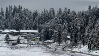 Kashmir Weather: Severe Cold Wave Grips Valley, Temperature Drops Below Freezing Point After Snowfall