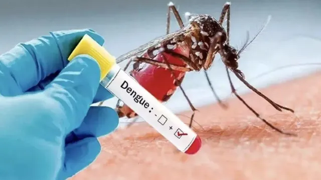 ghaziabad-dengue-cases-hits-301-5-patients-serious-doortodoor-campaign-until-nov-20