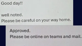 Employee Compares Indian And Japanese Bosses’ Replies On Leave Request, Viral Post Sparks Debate On Workplace Culture