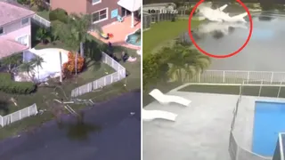 US Plane Crash Video: Another Aircraft Crashes Into Pond In Florida After Hitting Tree And Fence; 2nd Case In A Week