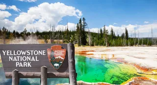 which-is-the-world-oldest-national-park-know-more-about-this-picturesque-place-in-wyoming