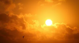 Is The Sun Actually A Star? Here’s The Science Behind It