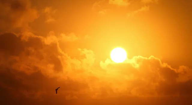 is-the-sun-actually-a-star-here-the-science-behind-it