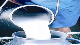Hapur Food Adulteration: 'Unsafe' Milk, Sweets, Ice Cream Found; Fines Of Rs 4.5 Lakh Imposed