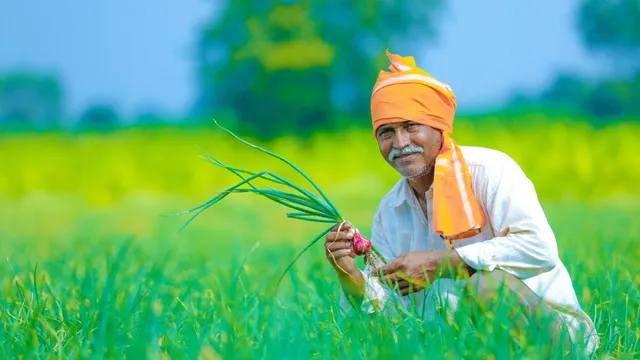 pm-kisan-yojana-21st-instalment-farmers-to-receive-rs-2000-today-november-19-how-to-check-beneficiary-status