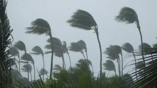 Cyclone Senyar: Heavy Rainfall Likely In THESE States As Low-Pressure Area Over BoB To Intensify | Check Landfall Timing, Path