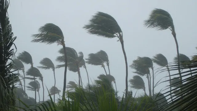 cyclone-senyar-heavy-rainfall-likely-in-tamil-nadu-kerala-low-pressure-area-over-bay-of-bengal-to-intensify-check-landfall-timing-path