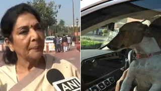 Congress MP Renuka Chowdhury Brings Puppy To Parliament, Claims 'Those Who Bite Sitting Inside'; BJP Retorts