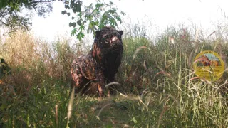 Noida Jungle Trail: New Waste-To-Wonder Park Opens In Sector 94; Check Timings, Features And Ticket Details