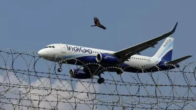 indigo-flight-cancellations-across-delhi-mumbai-bengaluru-over-200-flights-cancelled-delayed-check-travel-advisory-latest-news