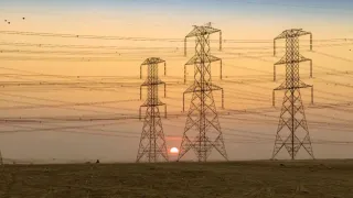 Tamil Nadu Power Cut: TANGEDCO Announces Shutdown In Multiple Districts Tomorrow, Is Your Area Affected?