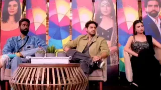 Bigg Boss 19 Top 3: Who Stays, Who Goes Ahead Of Finale? Netizens Predict
